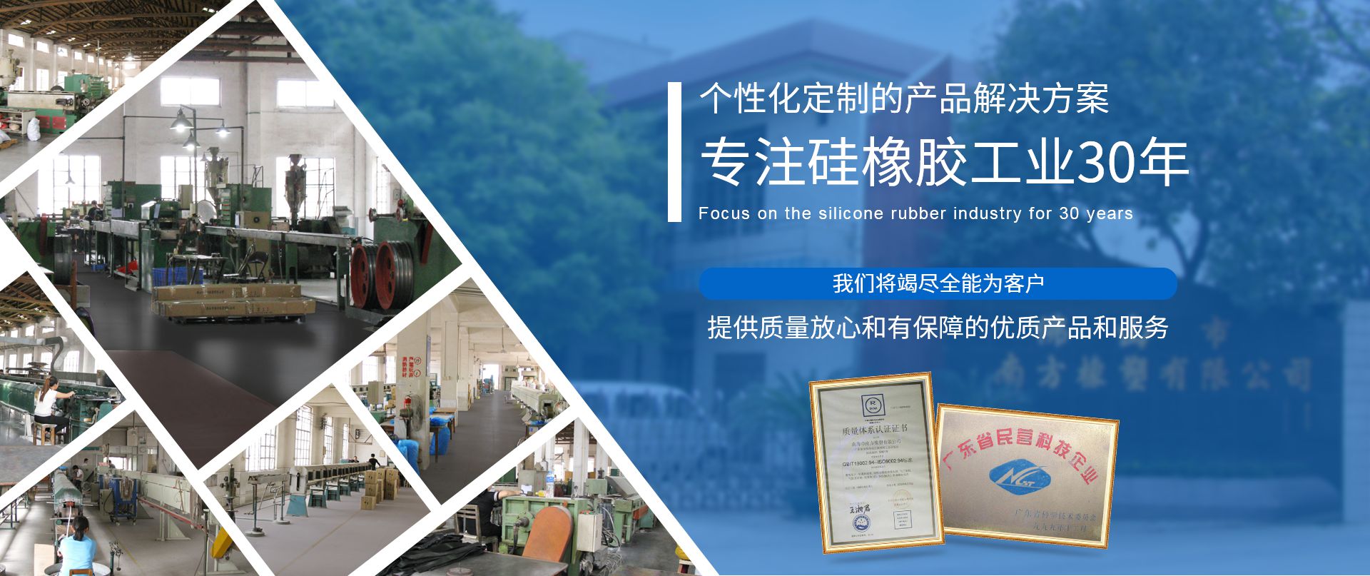 乐球直播免费高清观看